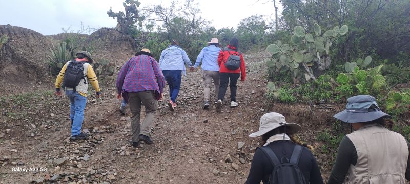 Recorrido huellas fósiles ( icnitas )