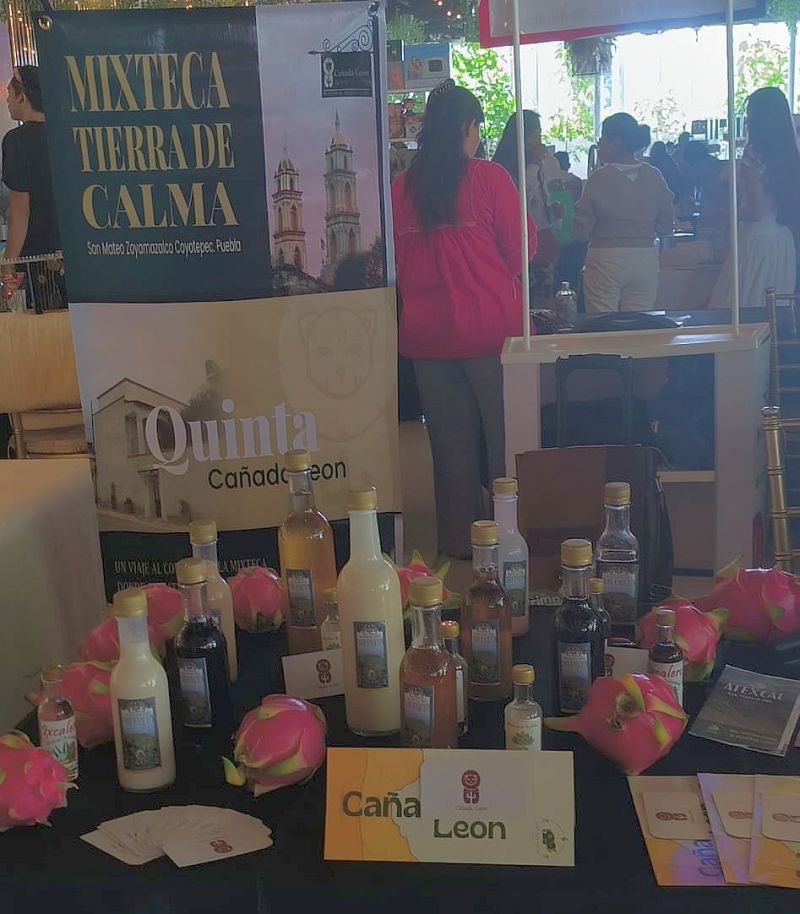 ExpoHolistica01