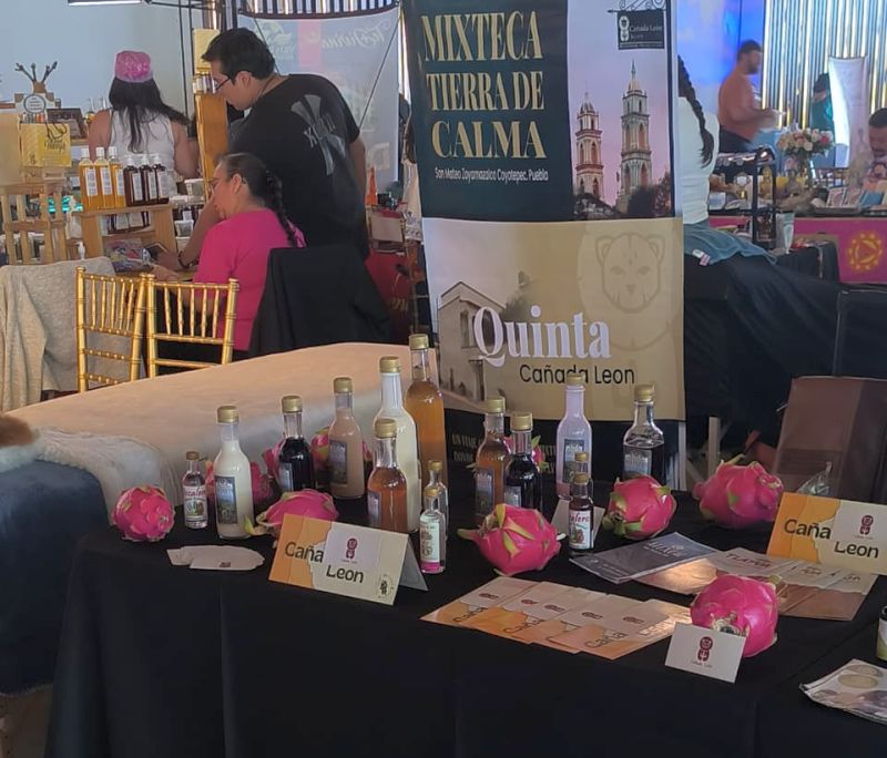 ExpoHolistica03
